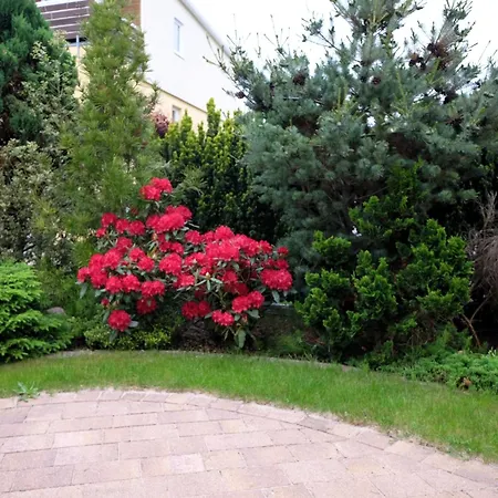 Wohlfuehloase Mit Terrasse Im Garten & Privatparkplatz *